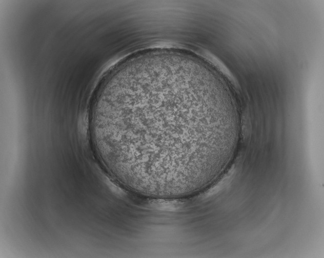 X0000111420831200907271141