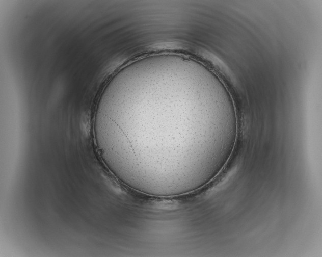 X0000111420833200907271141