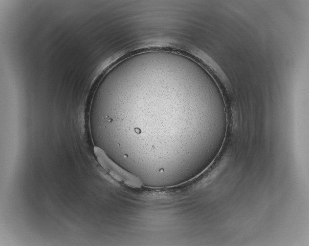 X0000111420834200907271141