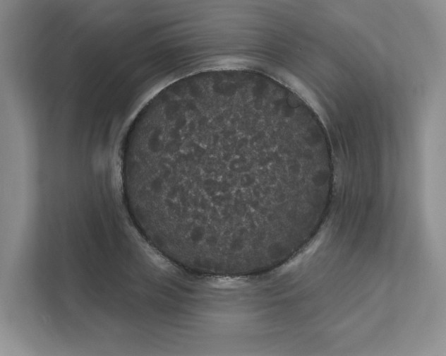 X0000111420835200907271141