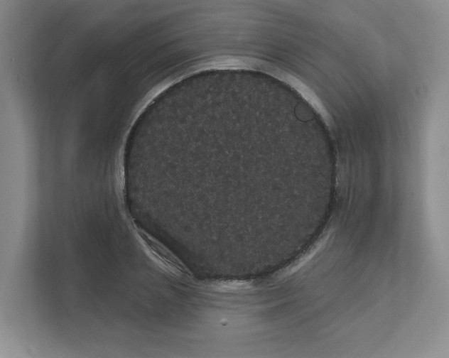 X0000111420837200907271141