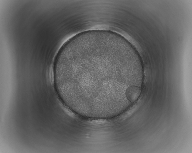 X0000111420838200907271141