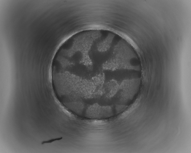 X0000111420839200907271141