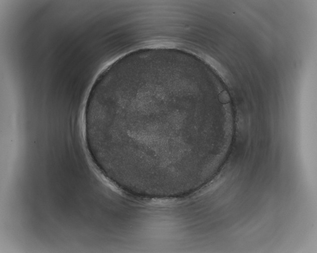 X0000111420840200907271141