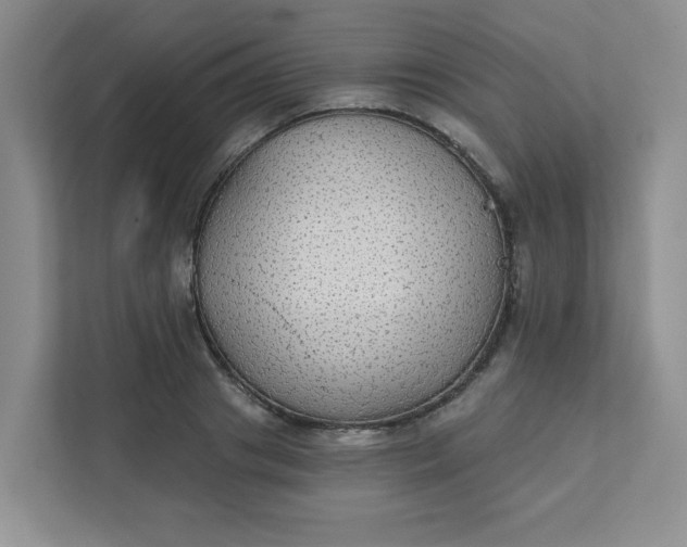 X0000111420841200907271141