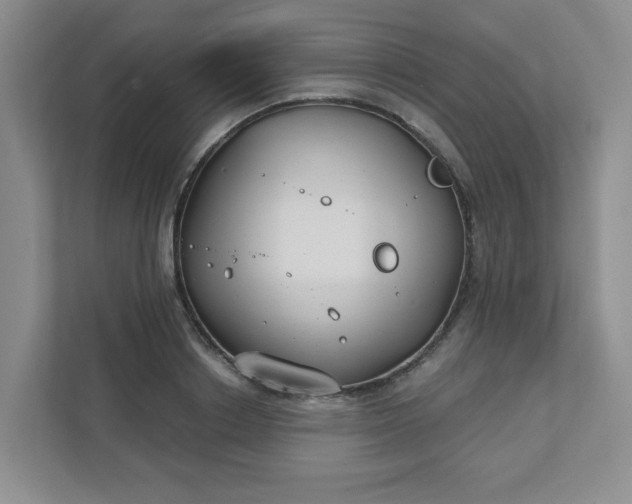 X0000111420842200907271141