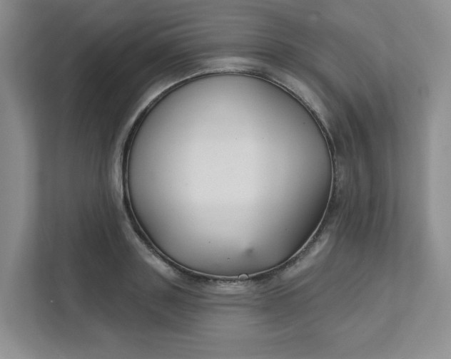 X0000111420843200907271141