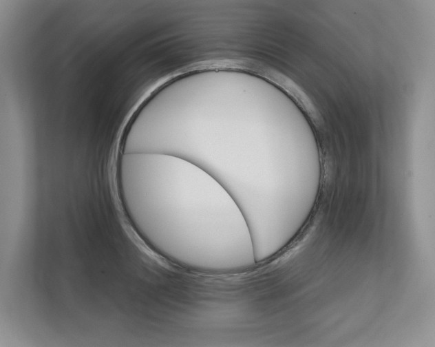 X0000111420844200907271141