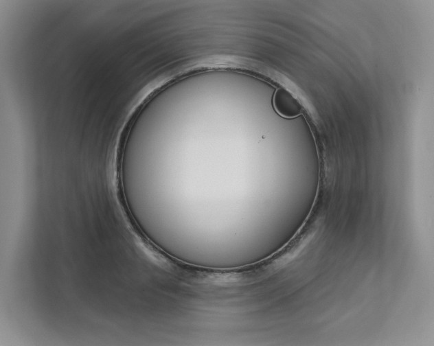 X0000111420845200907271141