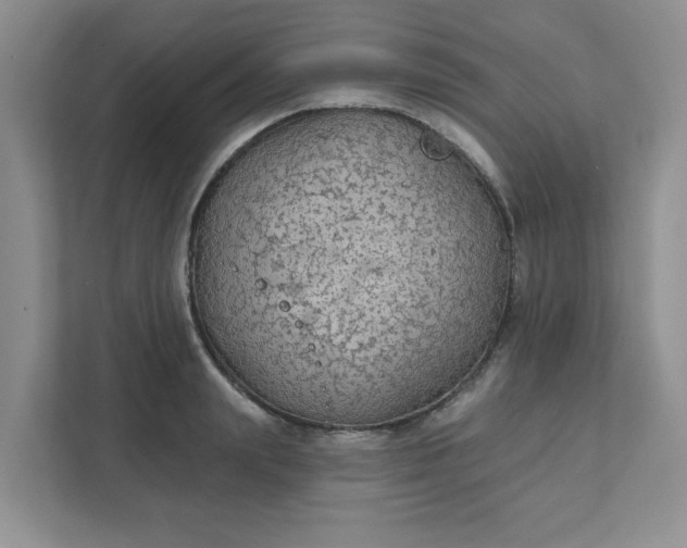 X0000111420847200907271141