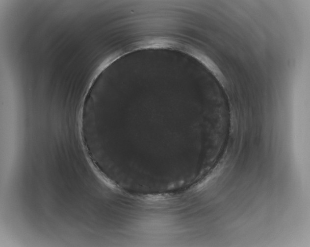 X0000111420850200907271141