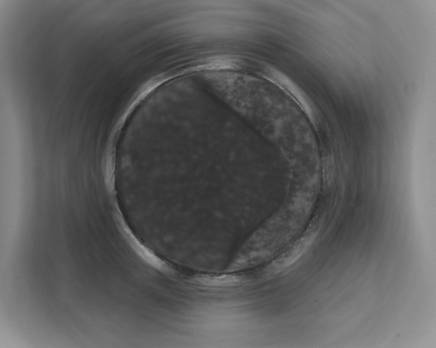 X0000111420851200907271141