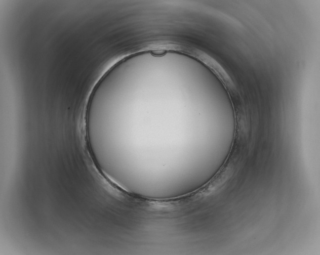 X0000111420852200907271141