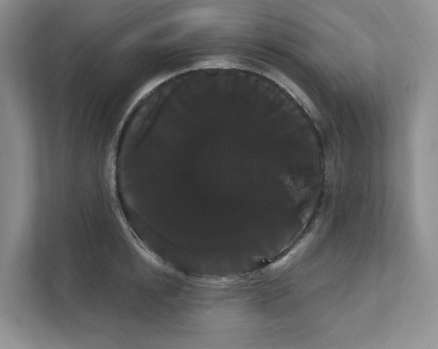 X0000111420854200907271141