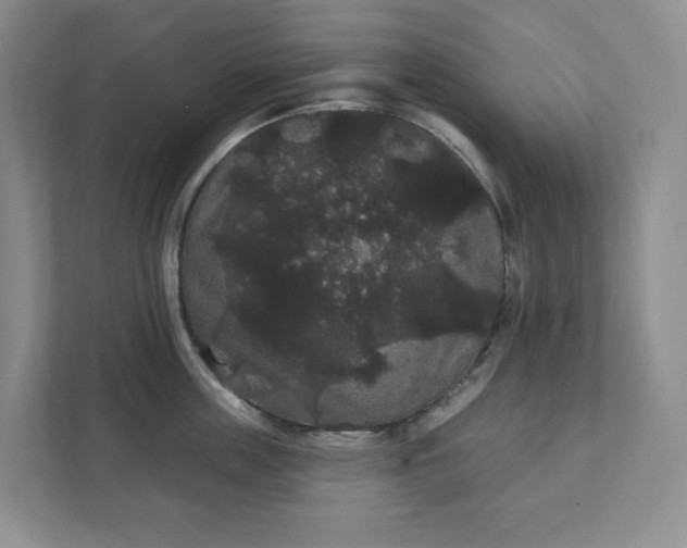 X0000111420859200907271141