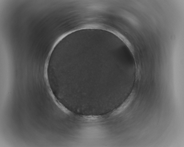 X0000111420862200907271141