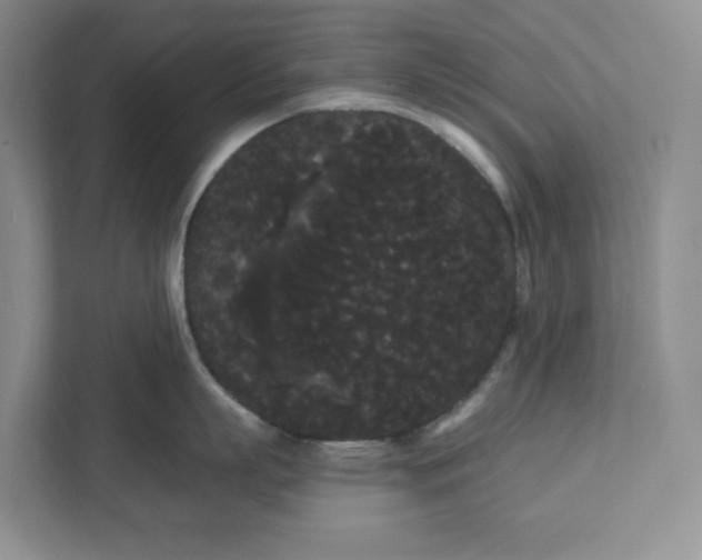 X0000111420863200907271141