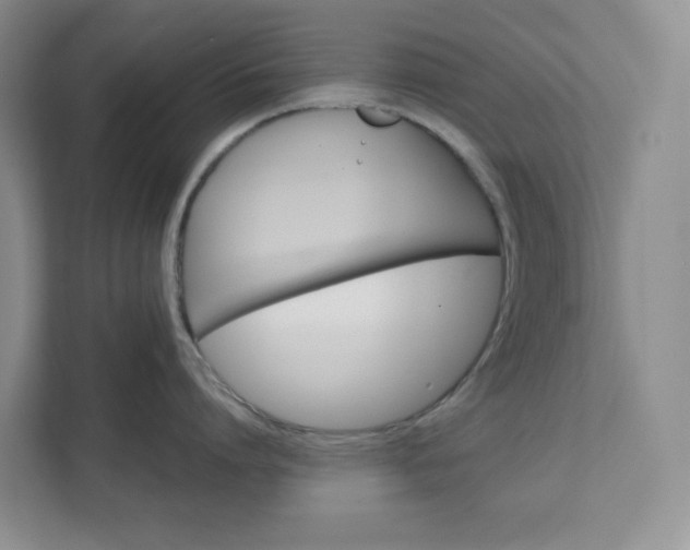 X0000111420864200907271141