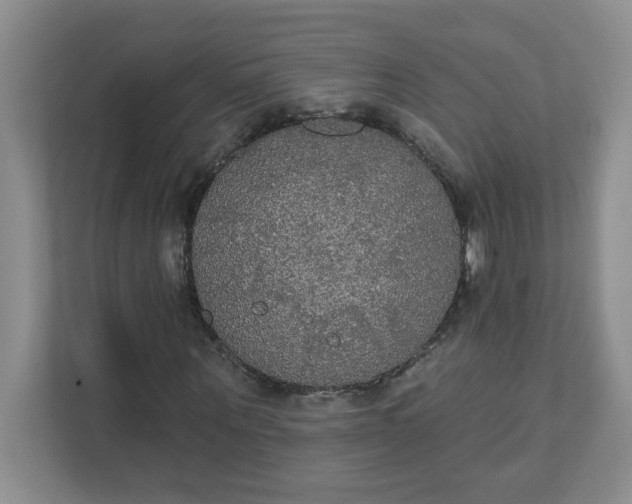 X0000111420867200907271141