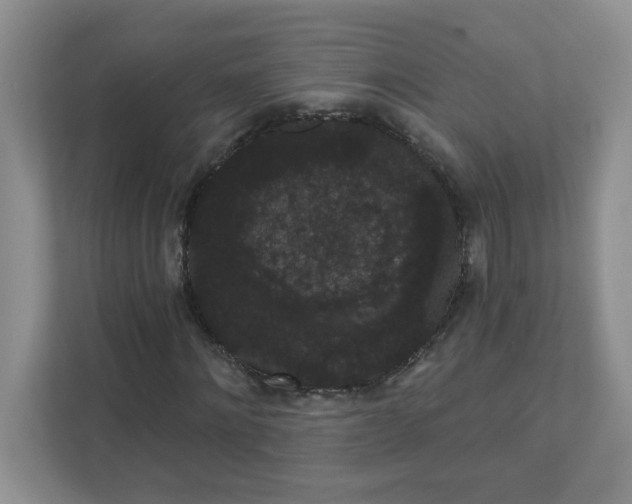 X0000111420868200907271141