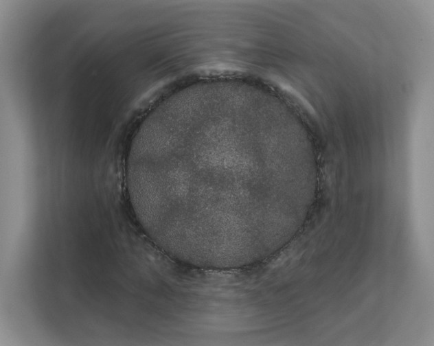 X0000111420870200907271141