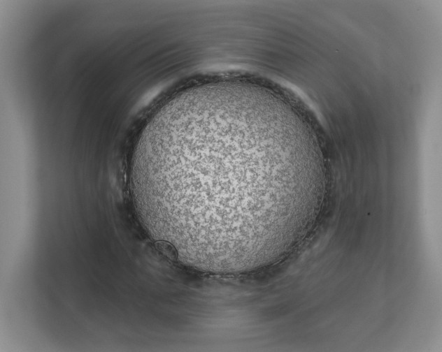 X0000111420871200907271141