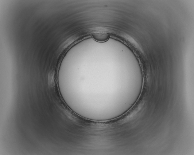 X0000111420873200907271141