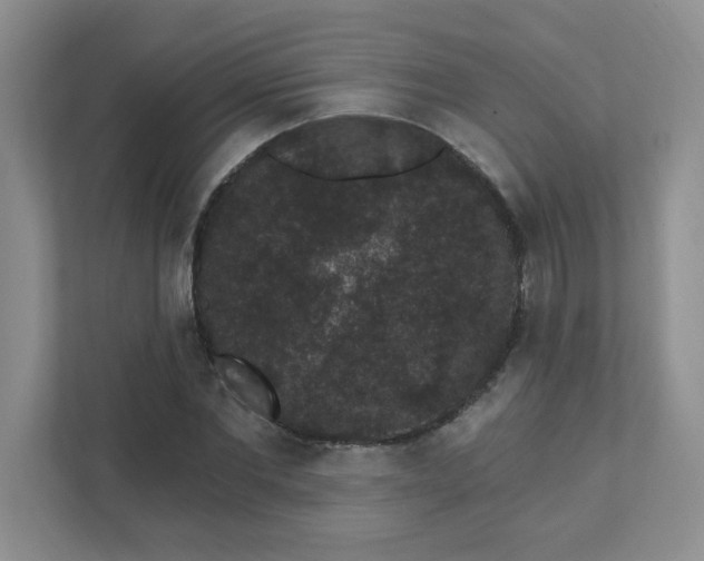 X0000111420877200907271141