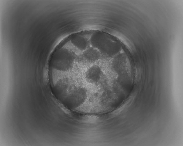 X0000111420878200907271141