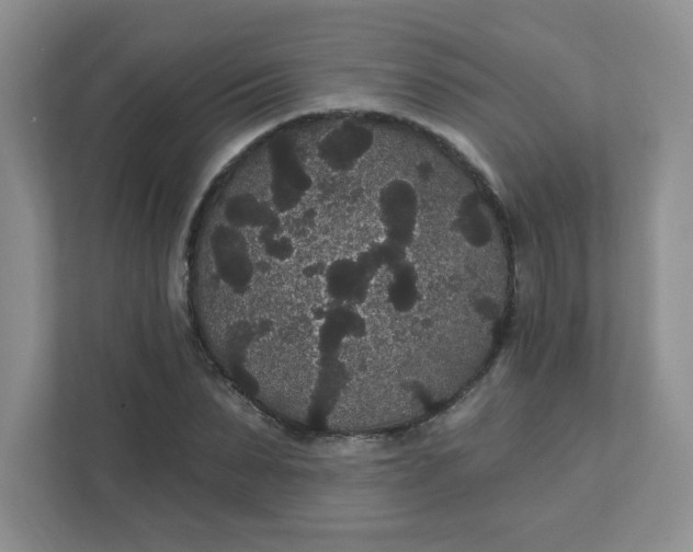 X0000111420879200907271141