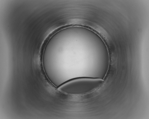 X0000111420880200907271141