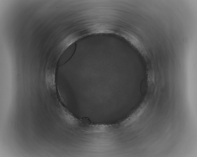 X0000111420881200907271141