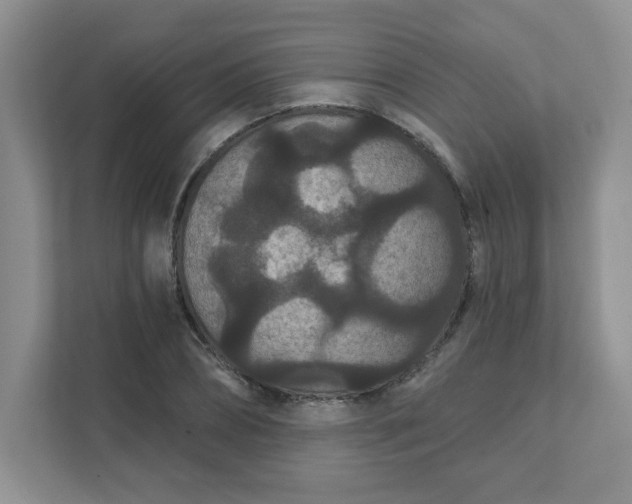 X0000111420882200907271141