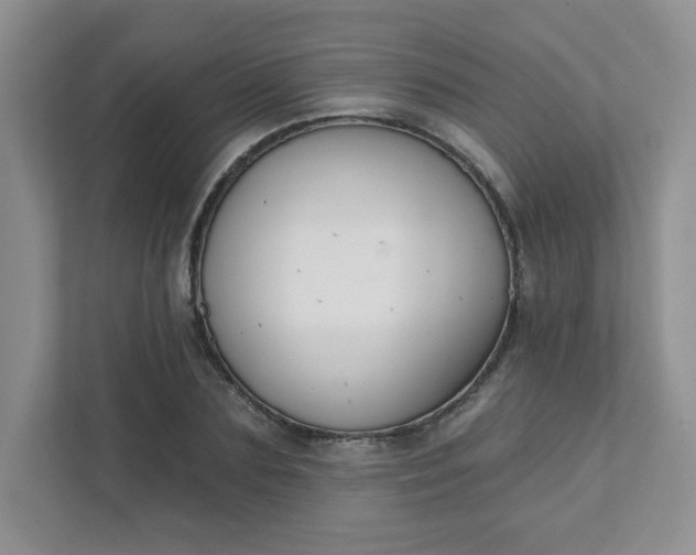 X0000111420883200907271141