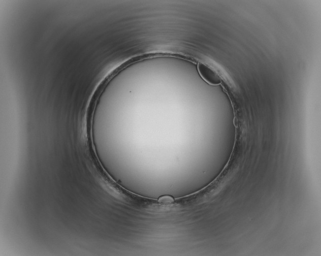 X0000111420884200907271141