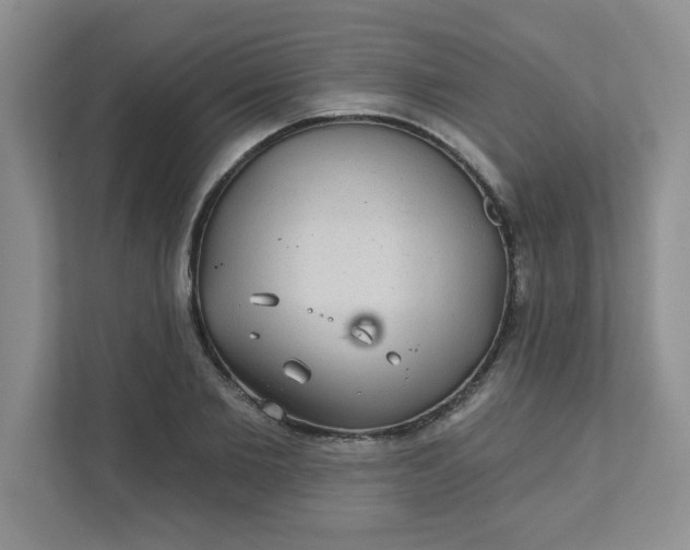 X0000111420885200907271141