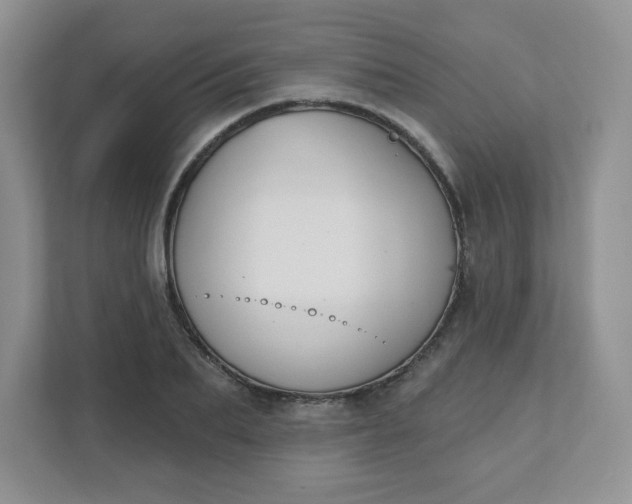 X0000111420887200907271141