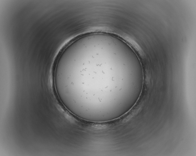 X0000111420888200907271141