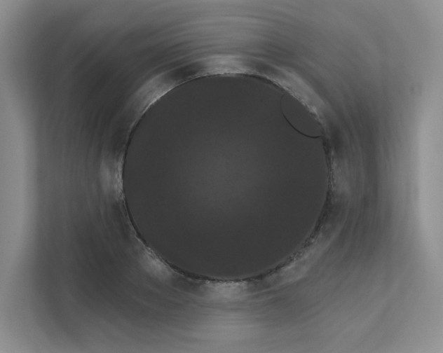 X0000111420889200907271140