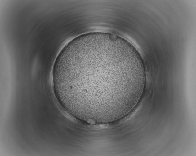 X0000111420891200907271140