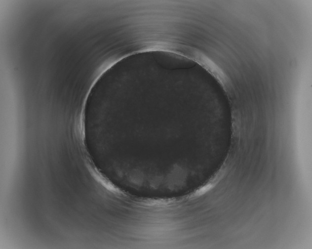 X0000111420892200907271140