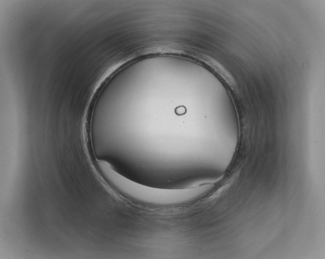 X0000111420893200907271140