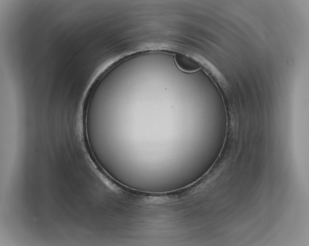 X0000111420894200907271140