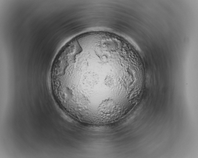 X0000111420895200907271140