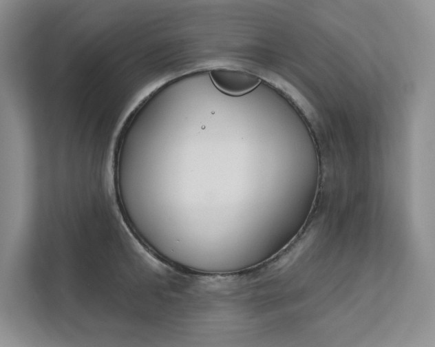 X0000111420902200907271140