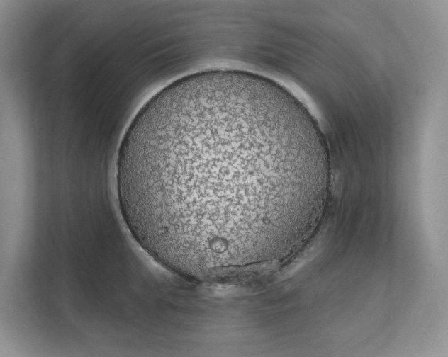 X0000111420903200907271140