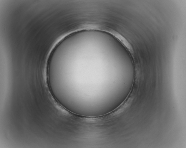 X0000111420904200907271140