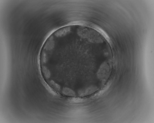 X0000111420907200907271140