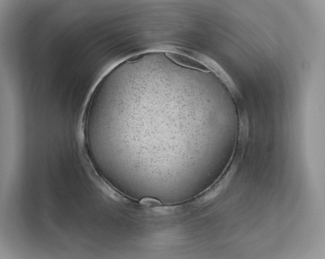 X0000111420908200907271140