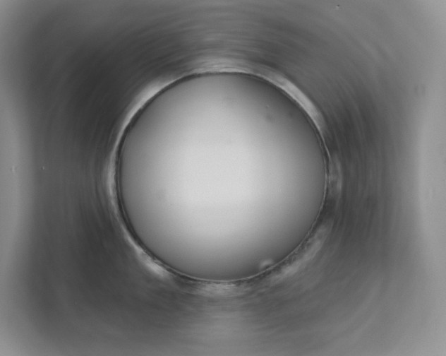 X0000111420909200907271140